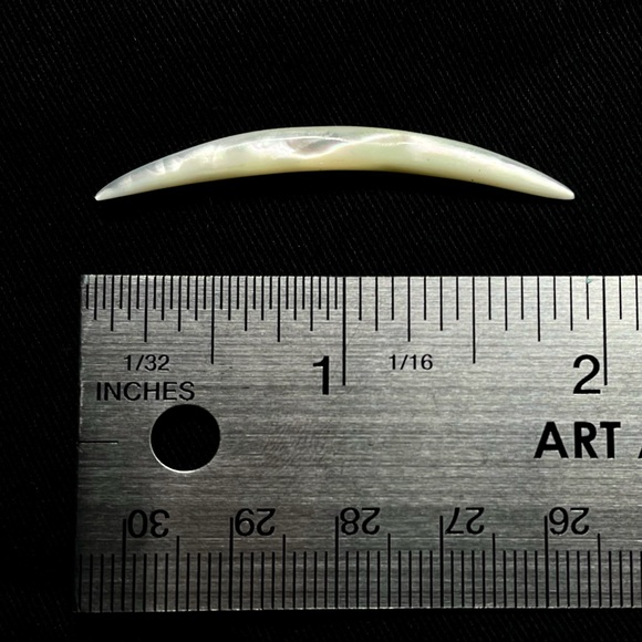 ✨ 6g Abalone Septum Tusk! - Picture 3 of 5